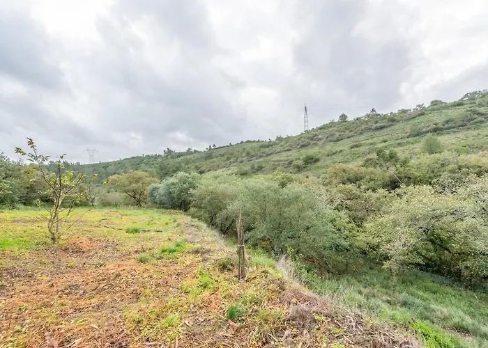 Countryside Paradise In