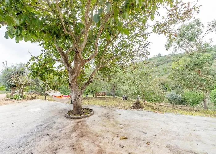 Countryside Paradise In